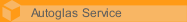 Autoglas Service